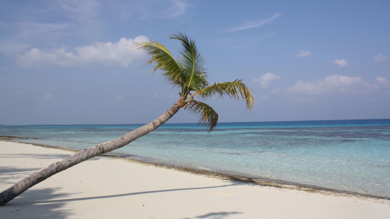 Photo of Others in Dhigurah