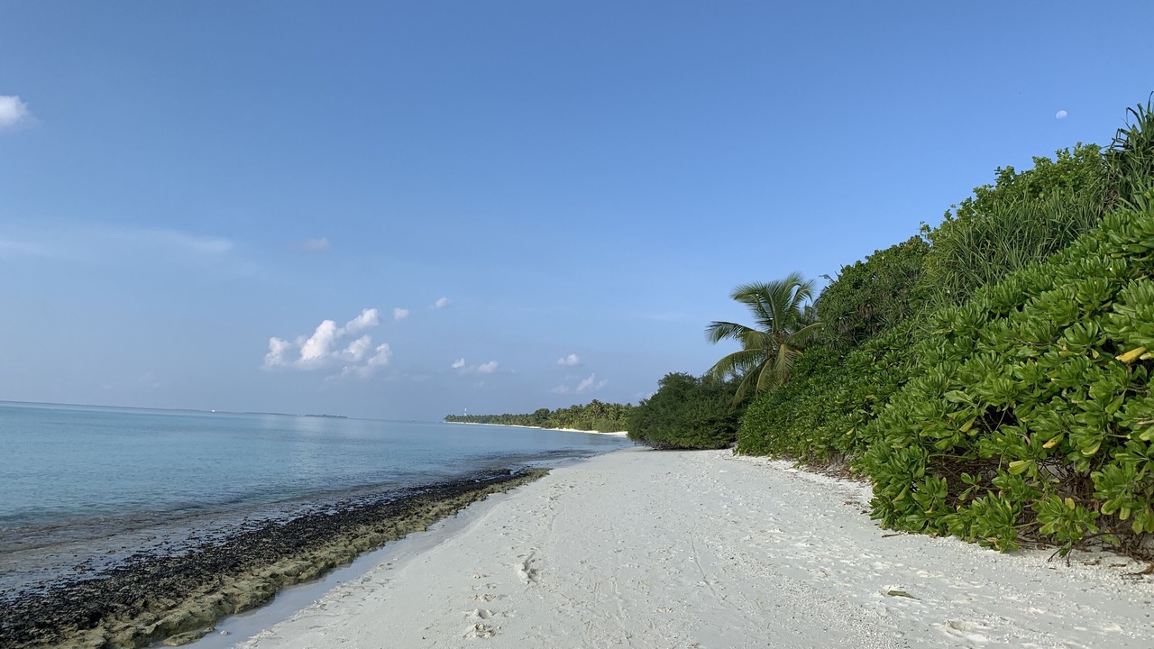 Photo of Others in Dhigurah