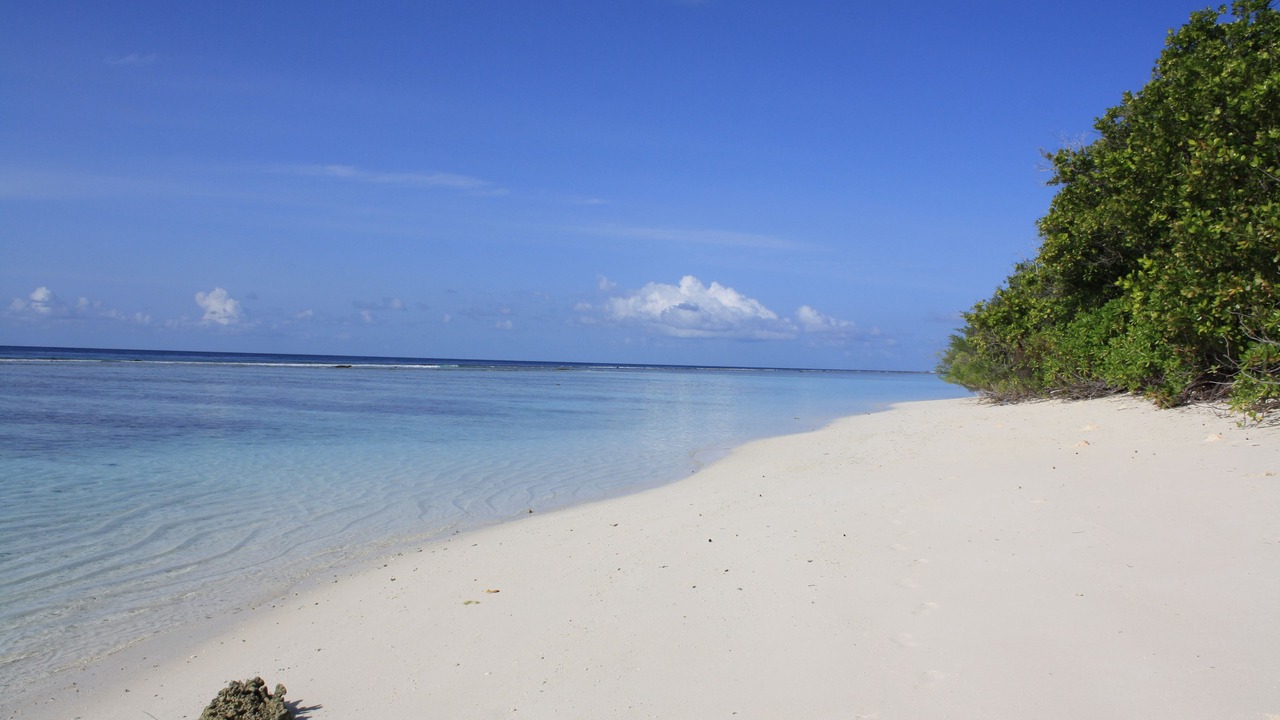 Photo of Others in Dhigurah