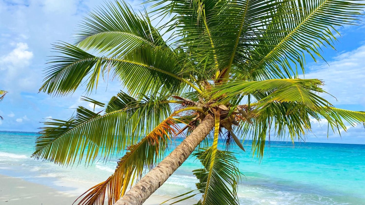 Photo of Outdoor in Dhigurah