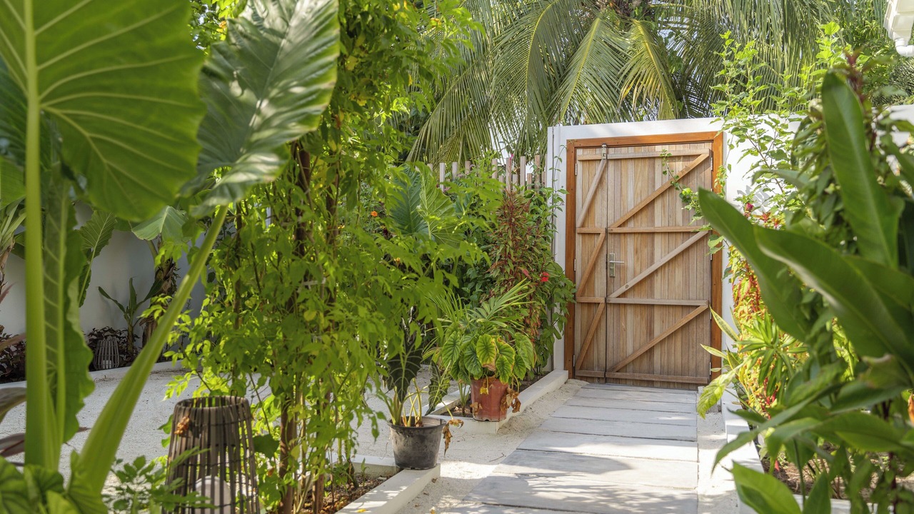 Photo of Outdoor in Dhigurah