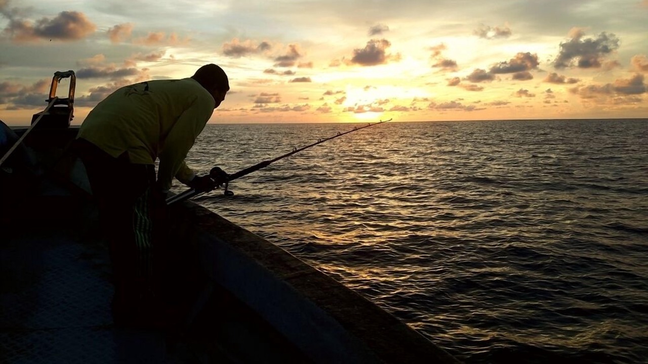 Photo of Others in Kamadhoo