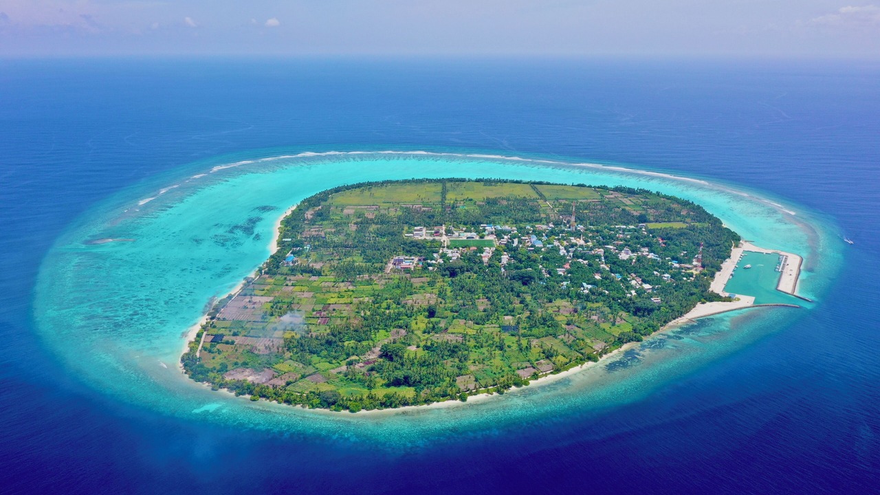 Photo of Others in Thoddoo