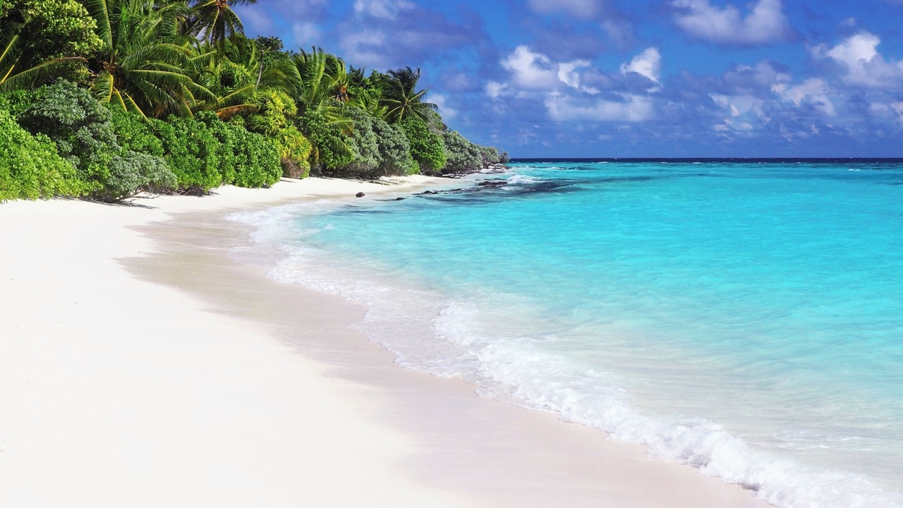 Photo of Others in Thoddoo