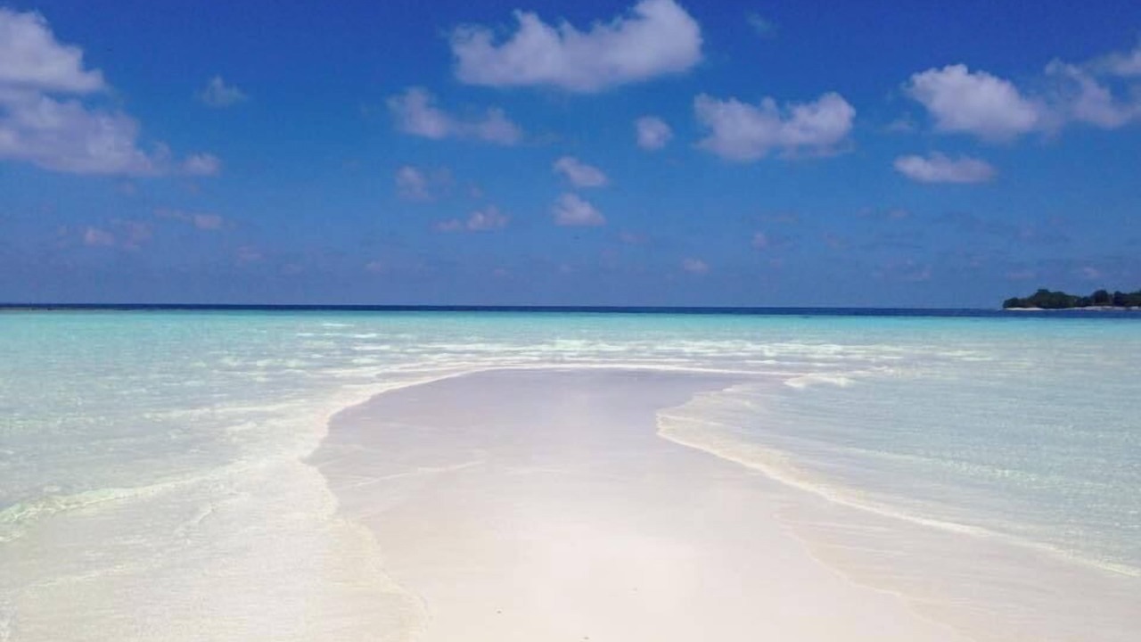 Photo of Others in Thoddoo