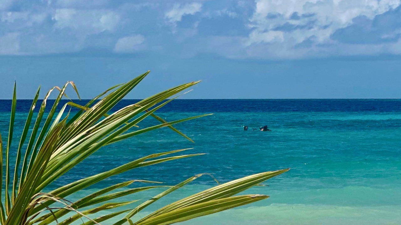 Photo of Others in Himmafushi