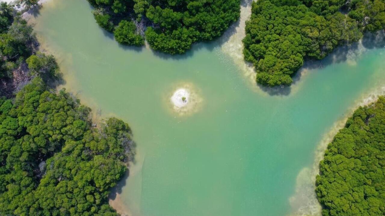 Photo of Outdoor in Kuda Huraa