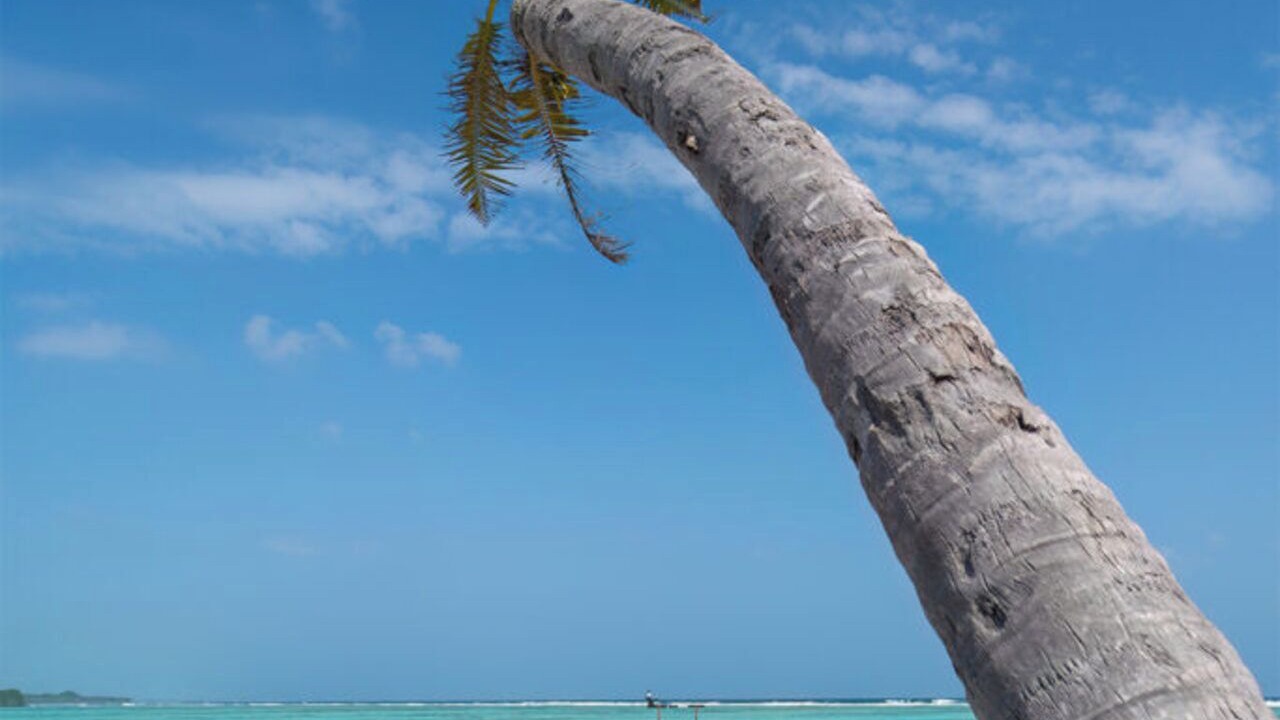 Photo of Others in Kuda Huraa