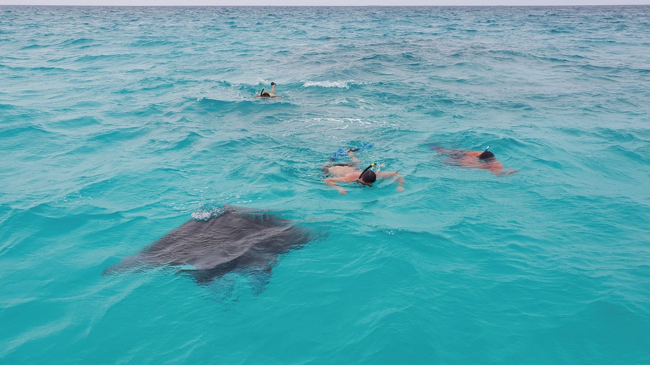 Photo of Others in Ukulhas