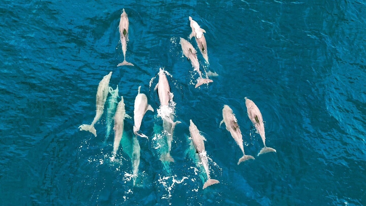 Photo of Outdoor in Noonu Atoll