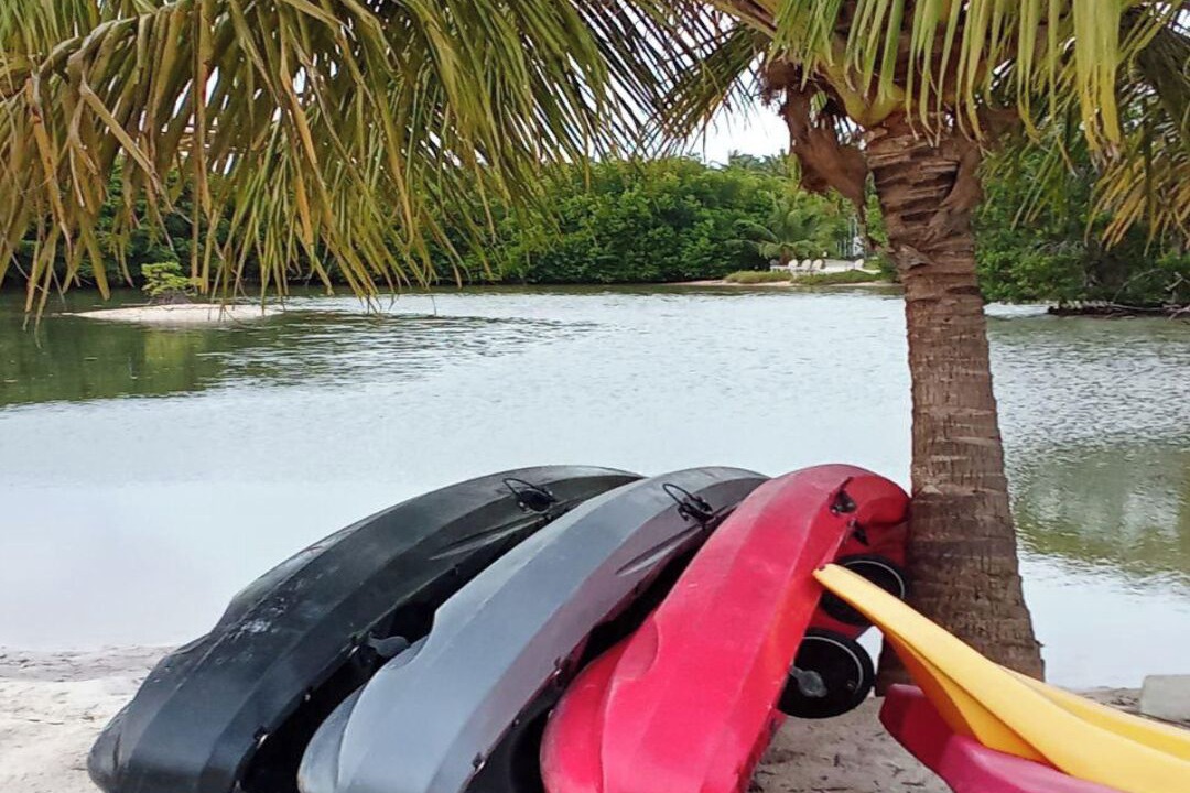 Photo of Others in Dhiffushi