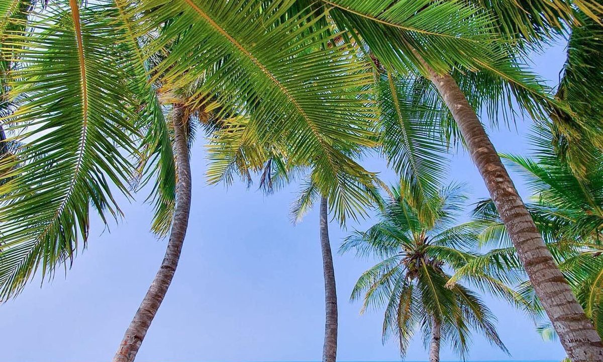Photo of Outdoor in Vashafaru