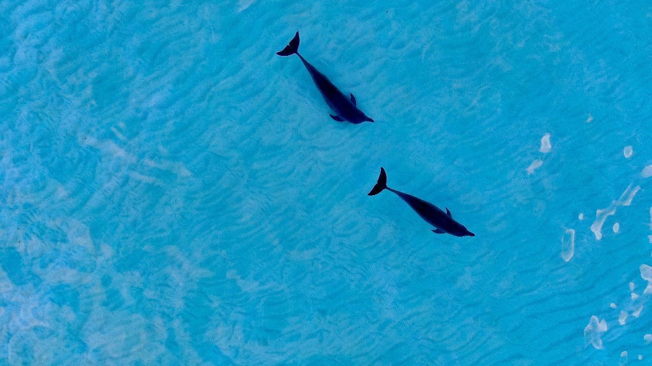 Photo of Outdoor in Vashafaru
