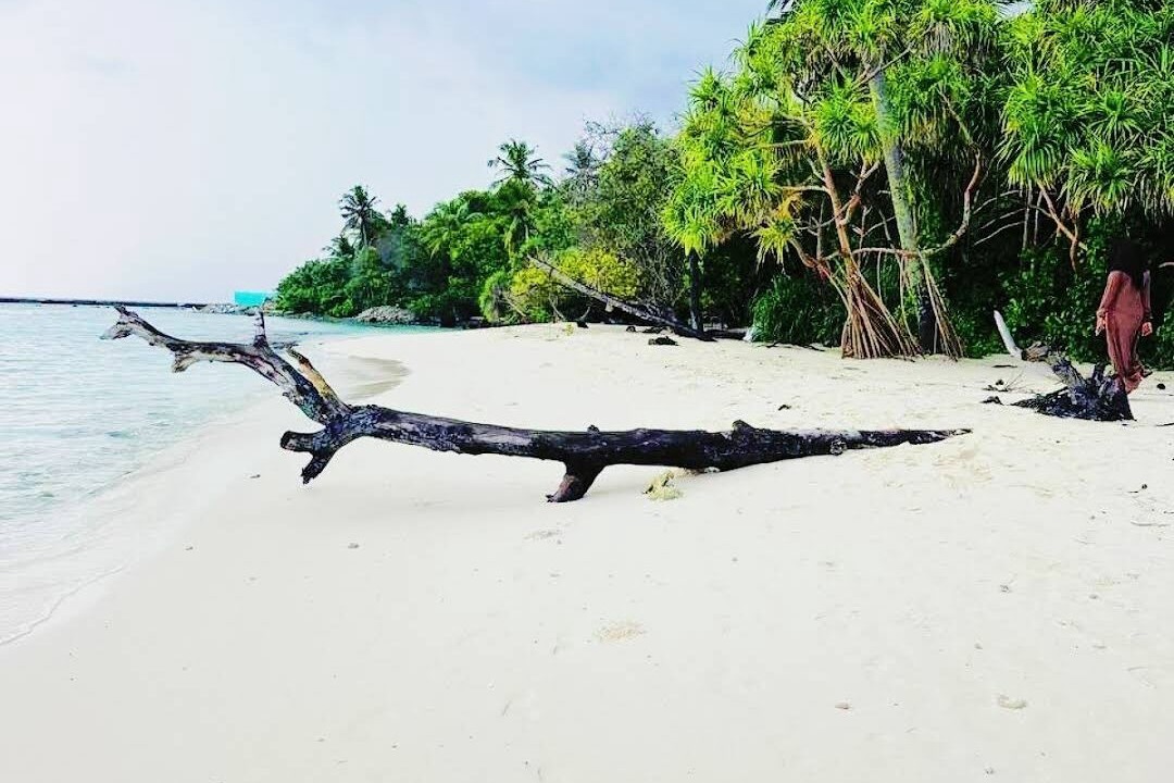 Photo of Others in Omadhoo