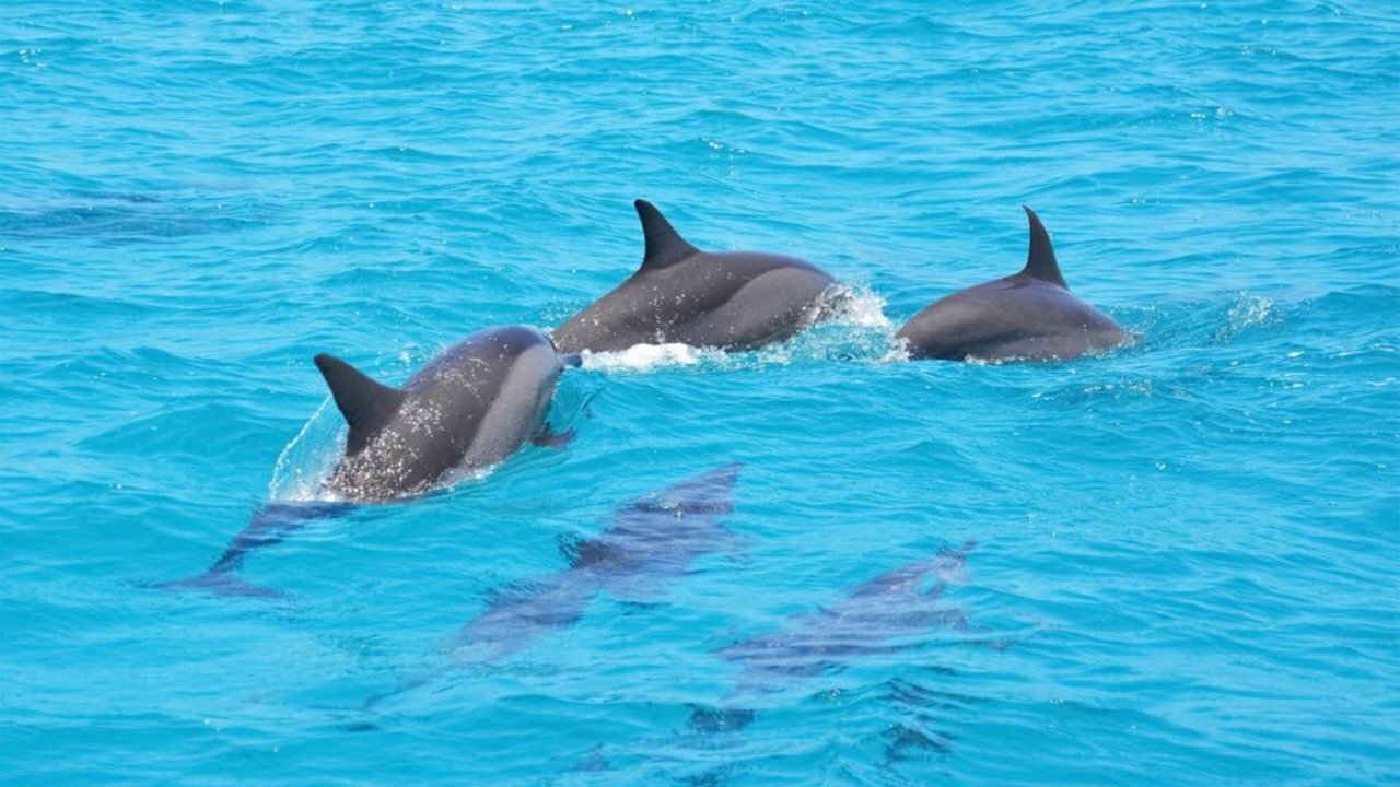Photo of Outdoor in Fulidhoo