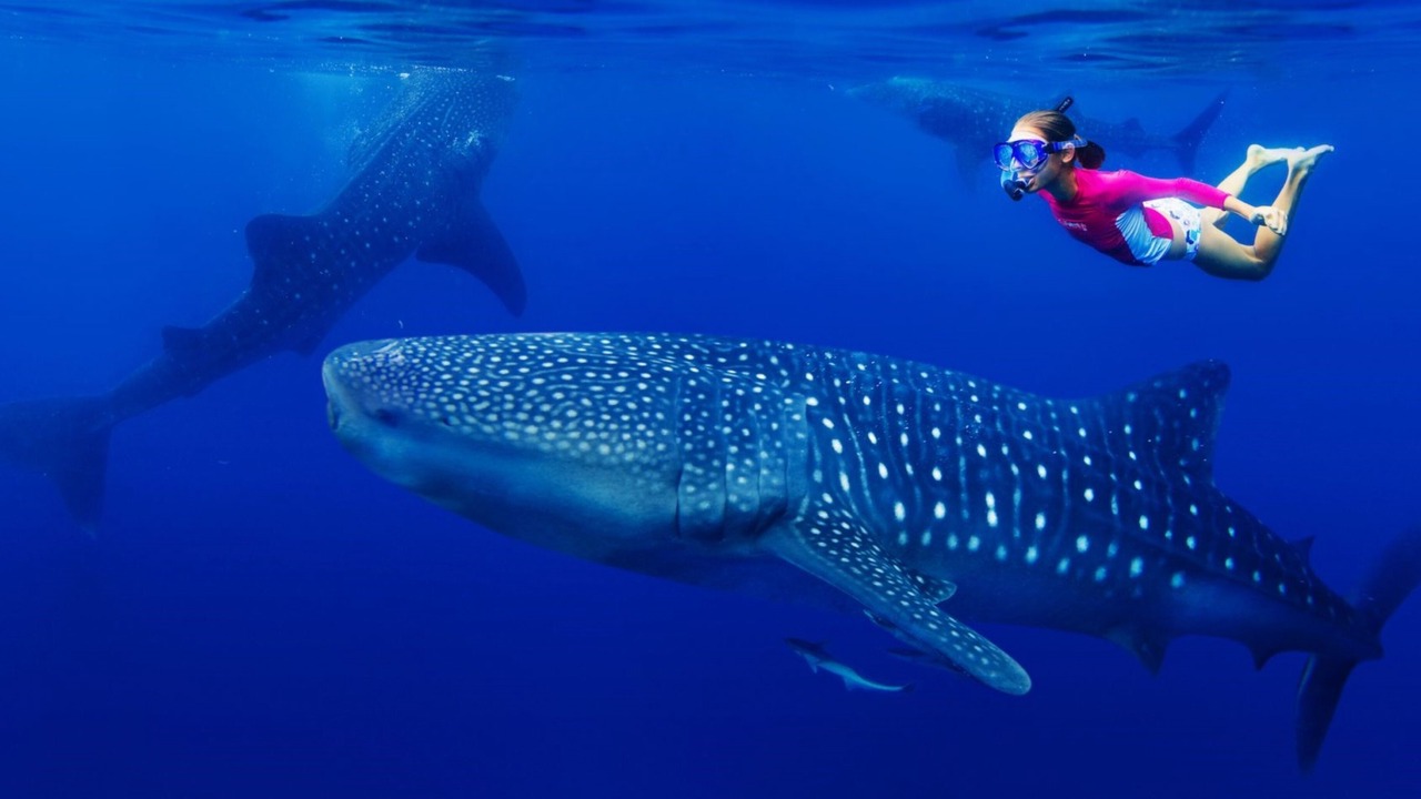 Photo of Others in Fulidhoo