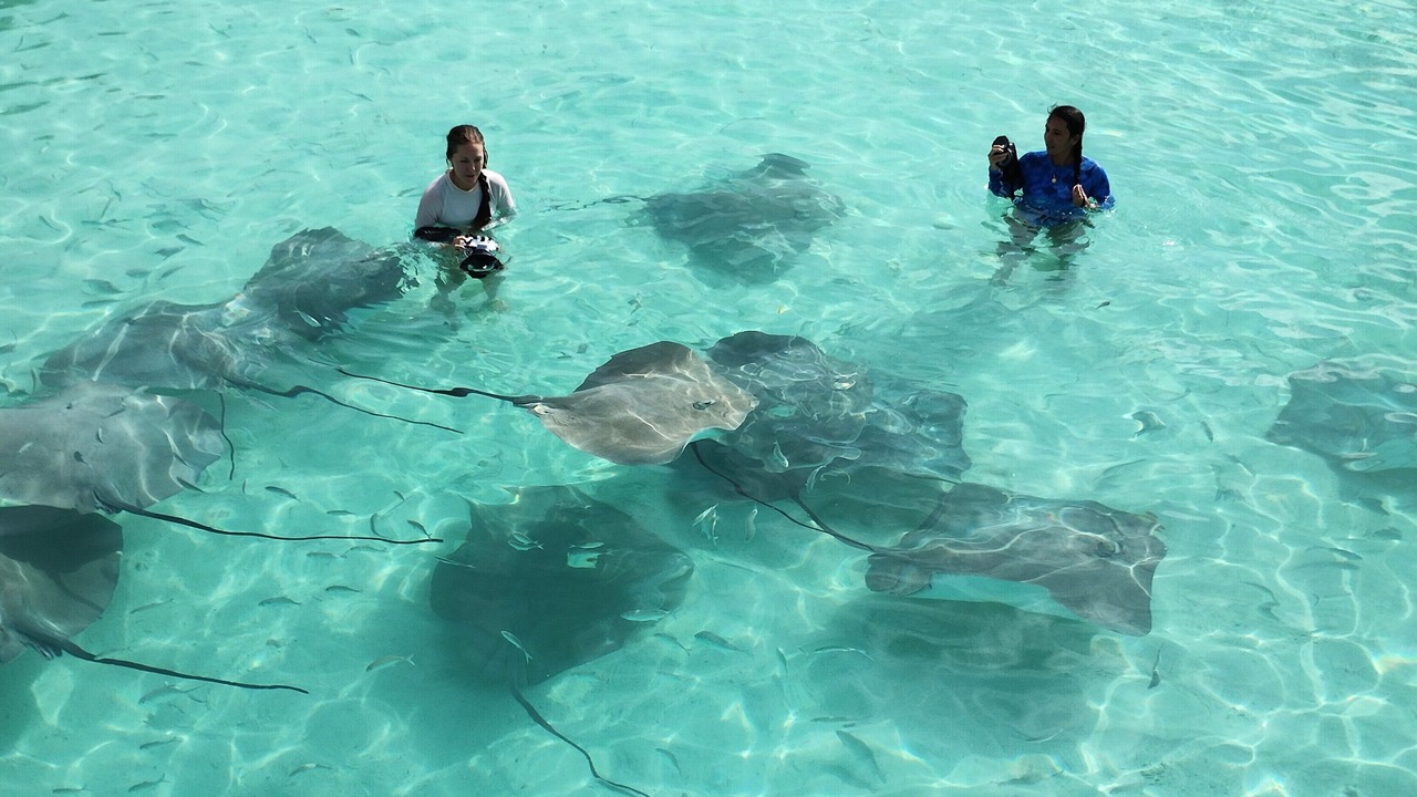 Photo of Outdoor in Fulidhoo