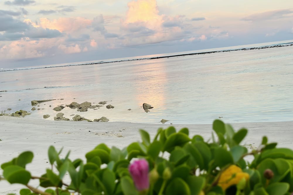 Photo of Others in Farukolhufushi Island