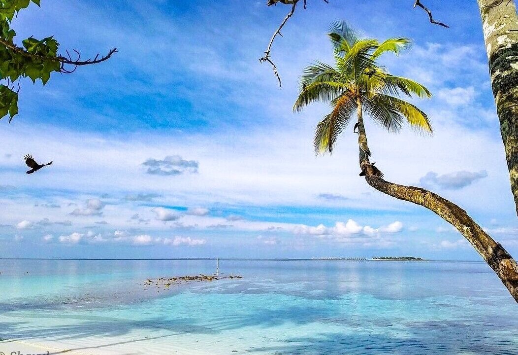 Photo of Outdoor in Rinbudhoo