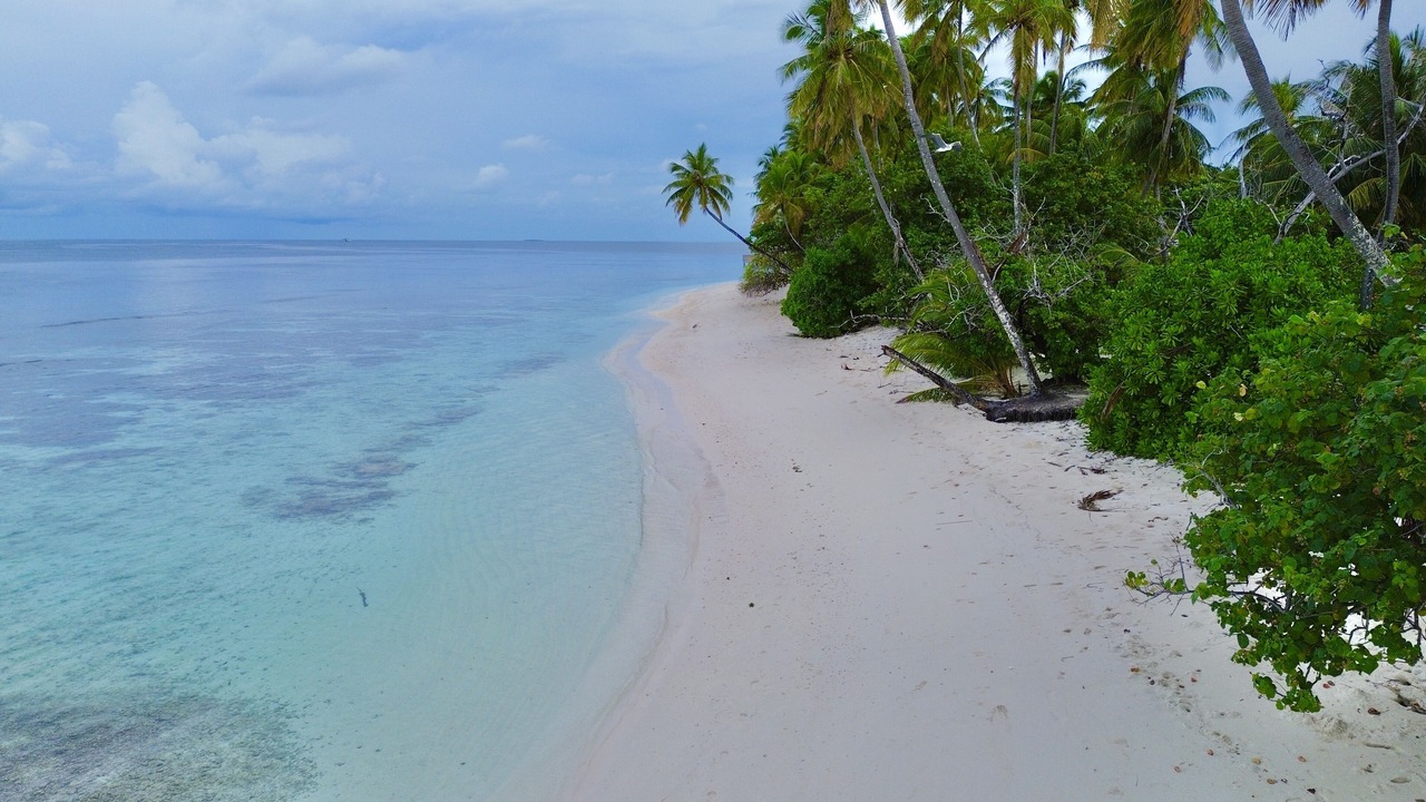 Photo of Outdoor in Rinbudhoo