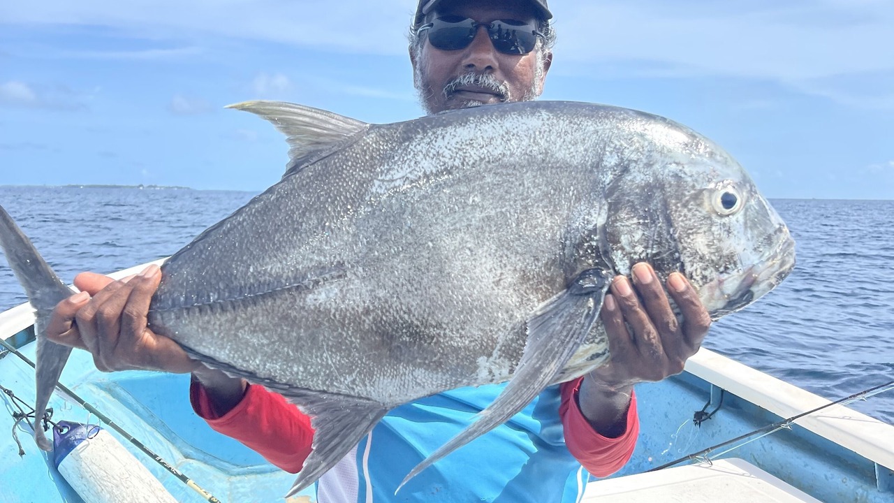 Photo of Others in Baa Atoll