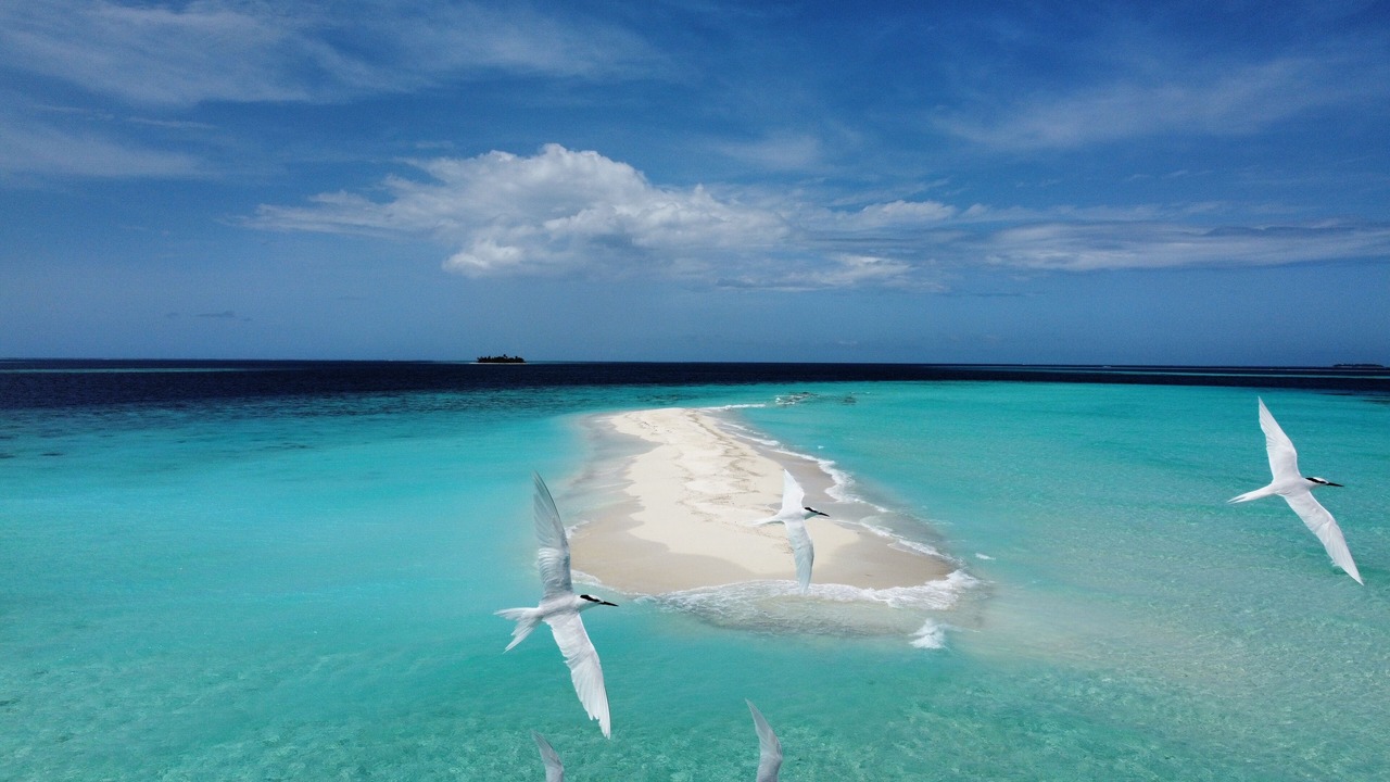 Photo of Others in Baa Atoll