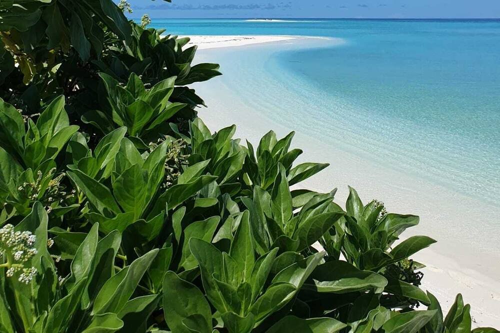 Photo of Others in Fehendhoo