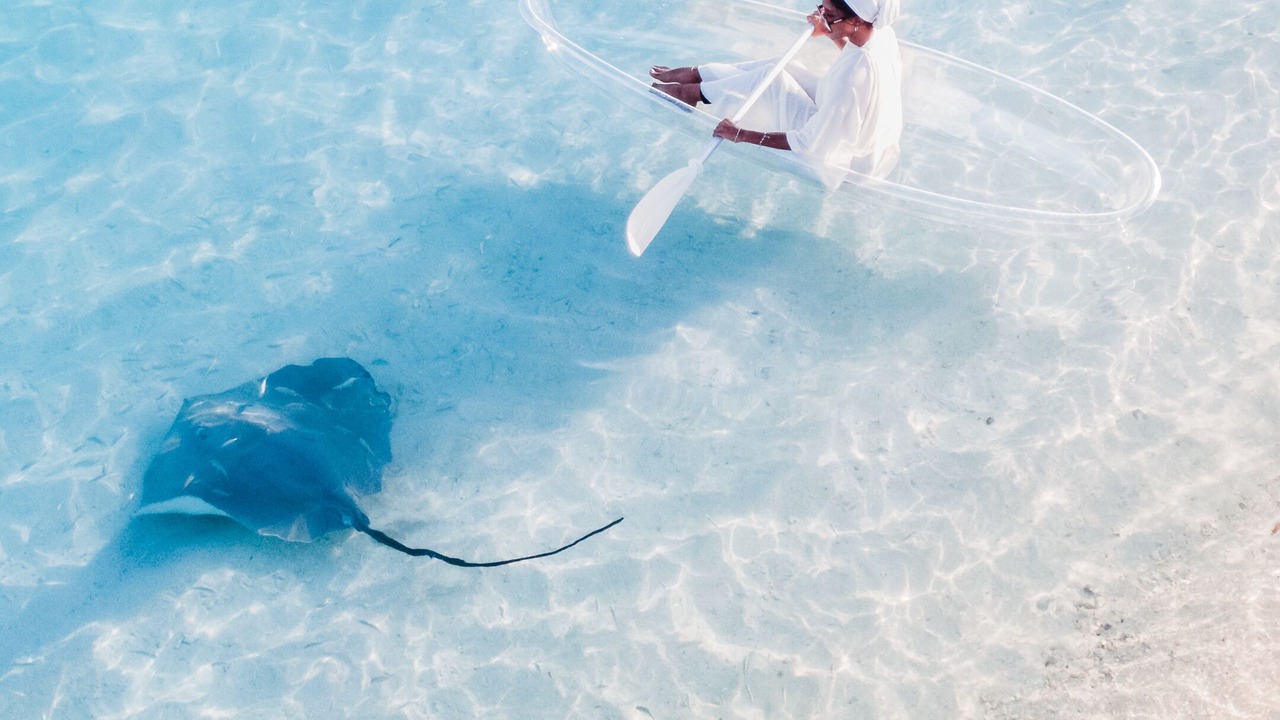 Photo of Others in Himandhoo