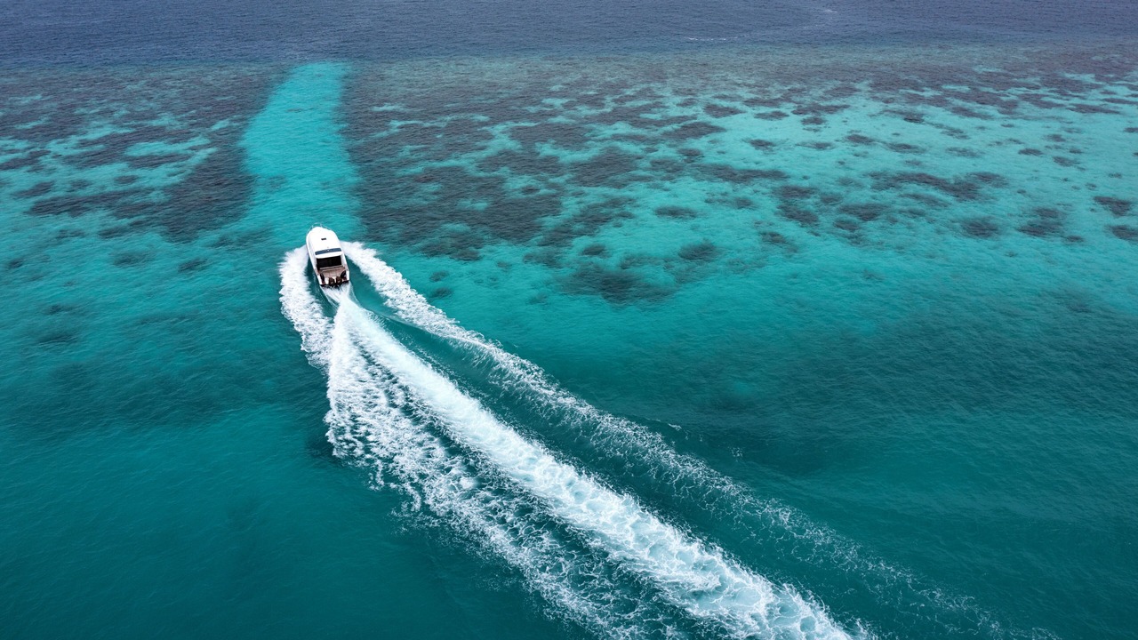 Photo of Others in Huvafen Fushi