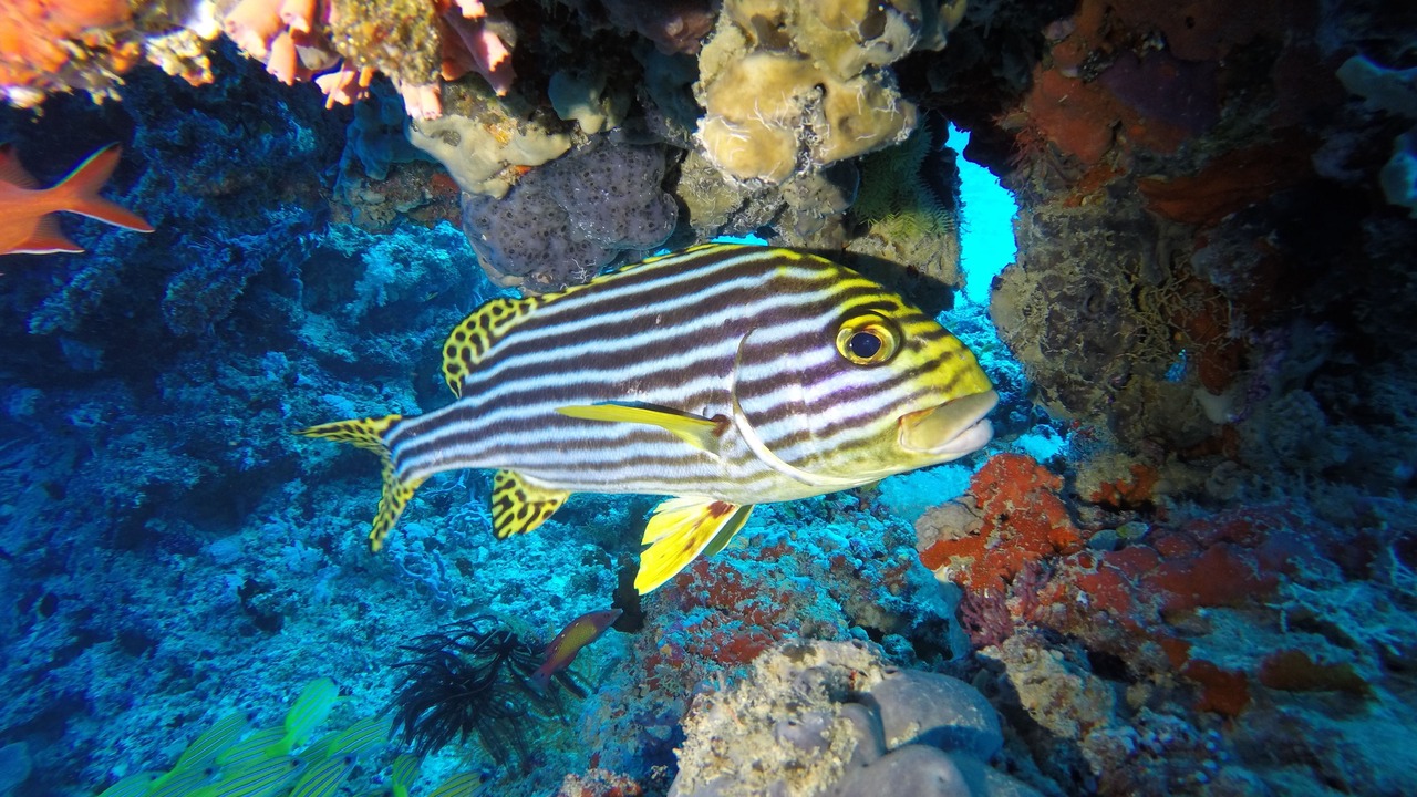 Photo of Outdoor in Vabbinfaru