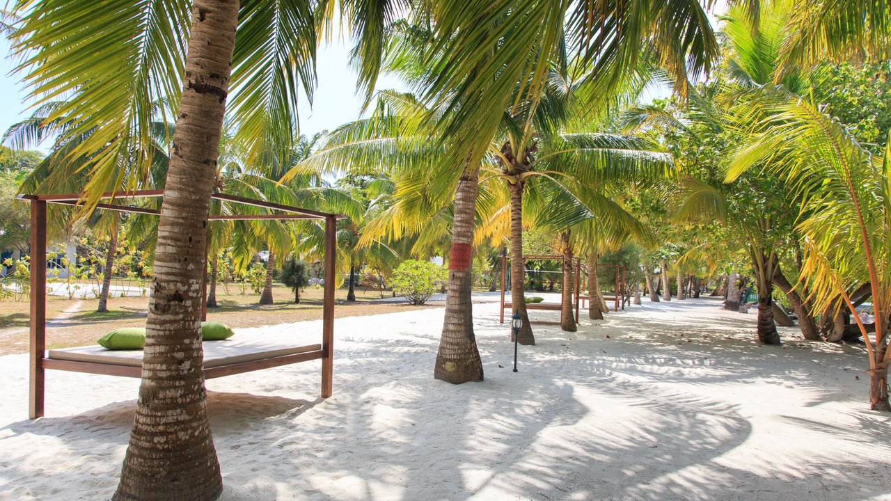 Photo of Others in Gan Island