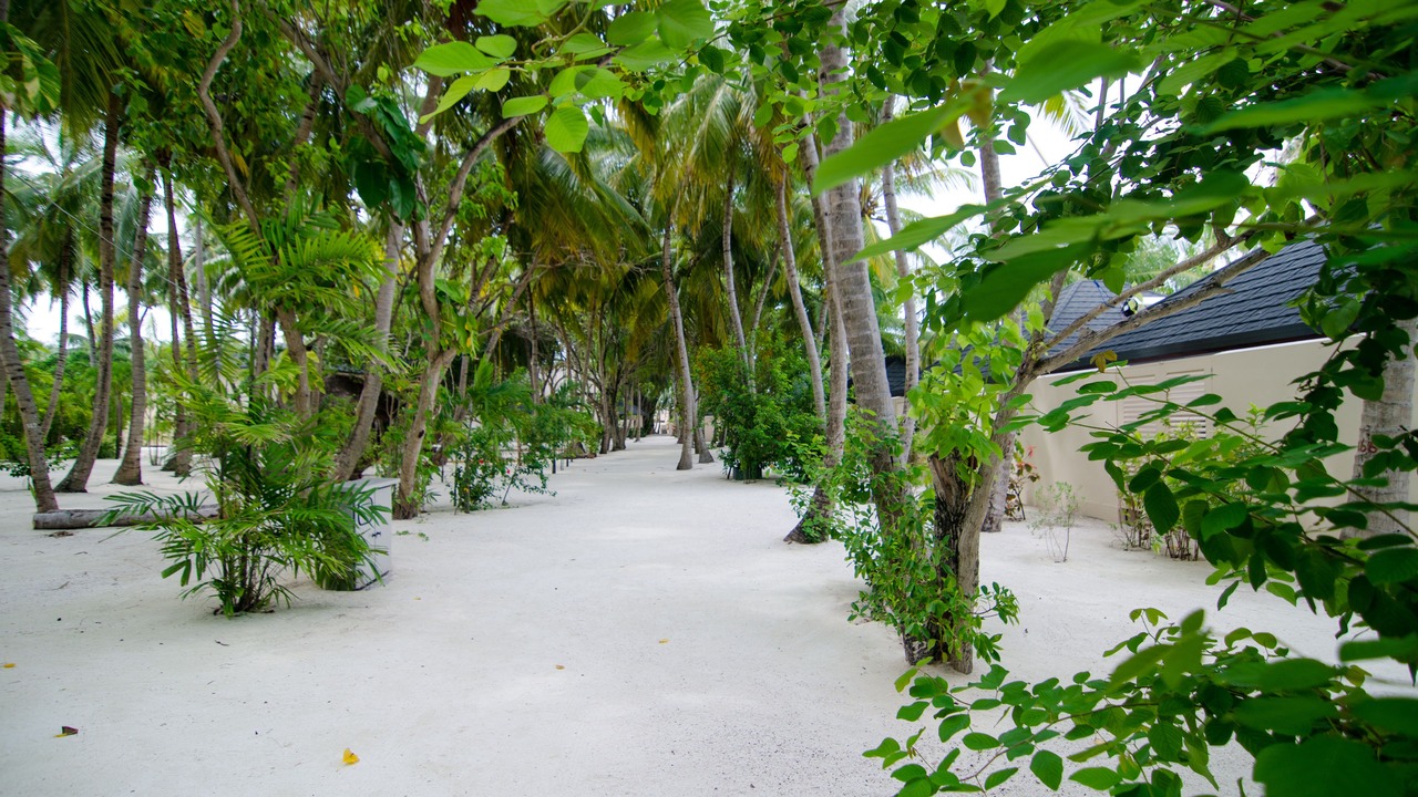 Photo of Others in Ziyaraifushi Island