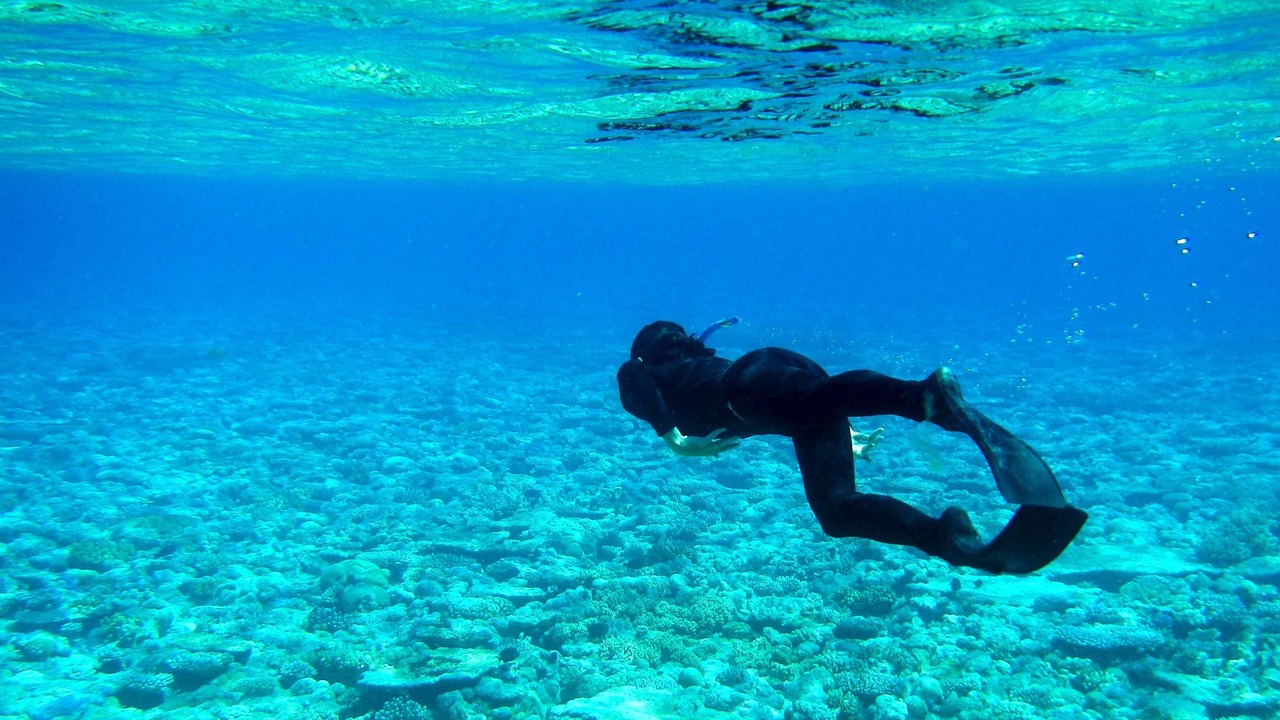 Photo of Others in Hulhumale