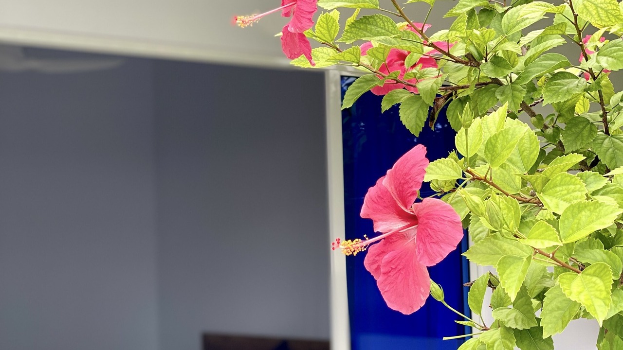 Photo of Bedroom in Dhigurah