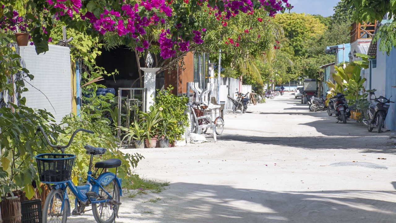 Photo of Others in Thulusdhoo Island
