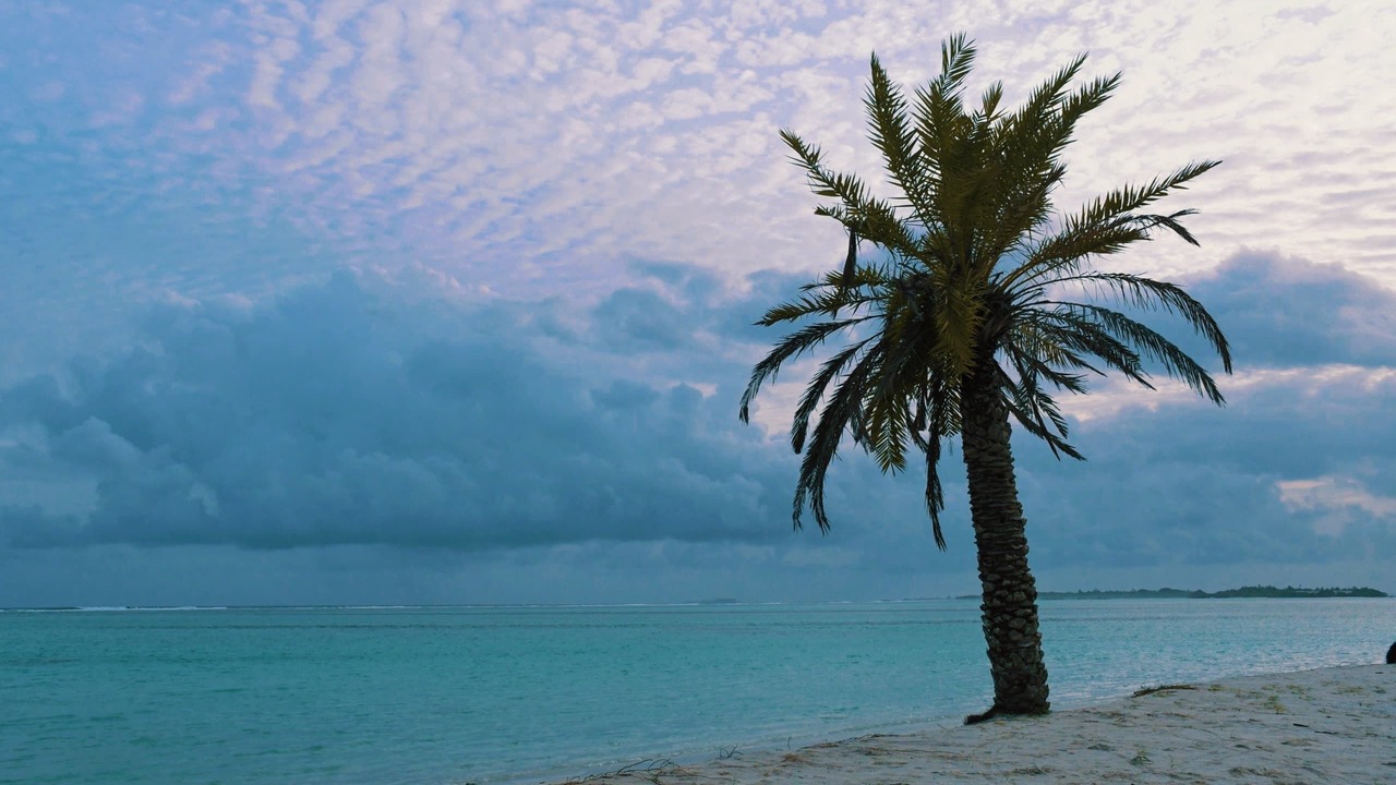 Photo of Others in Thulusdhoo Island