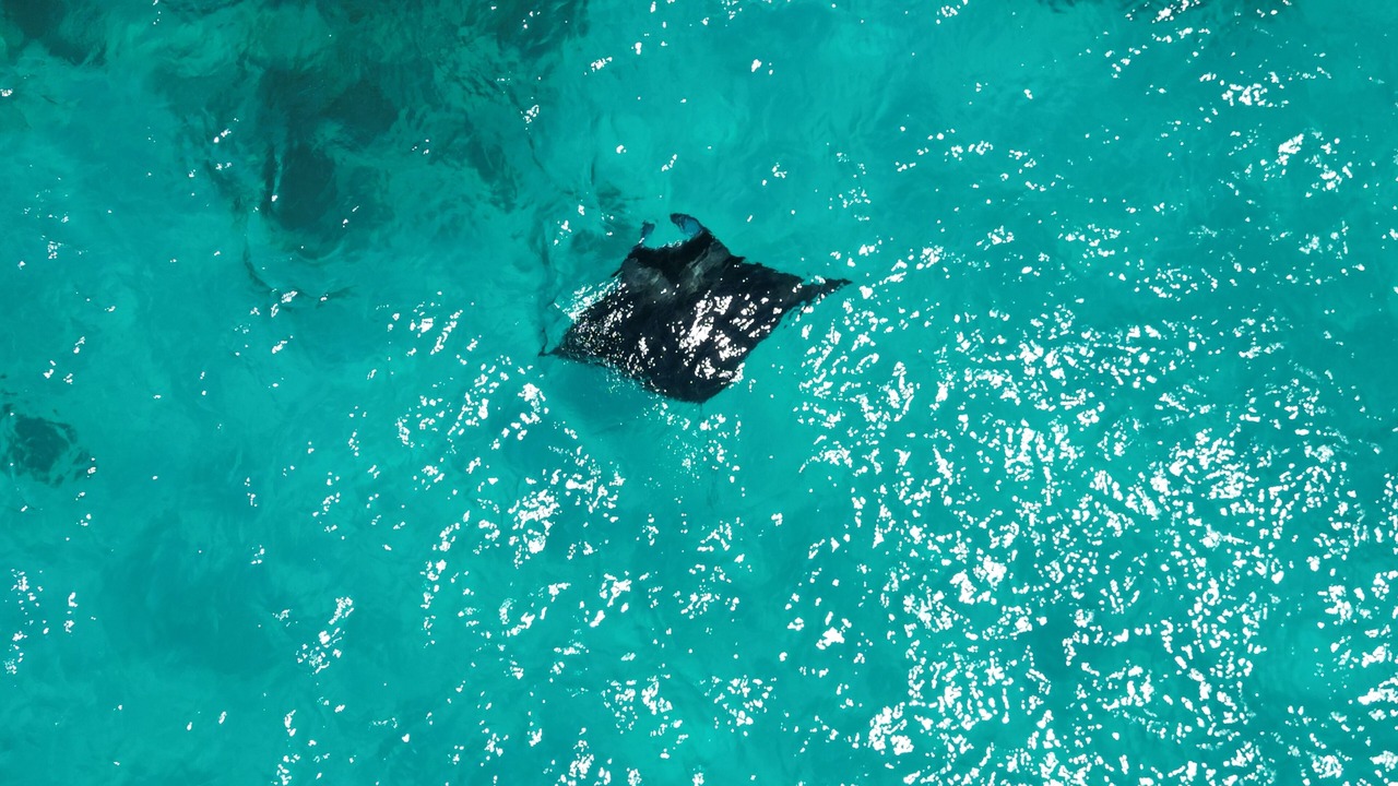 Photo of Outdoor in Hangnaameedhoo