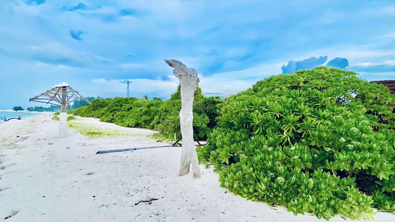Photo of Others in Fenfushi
