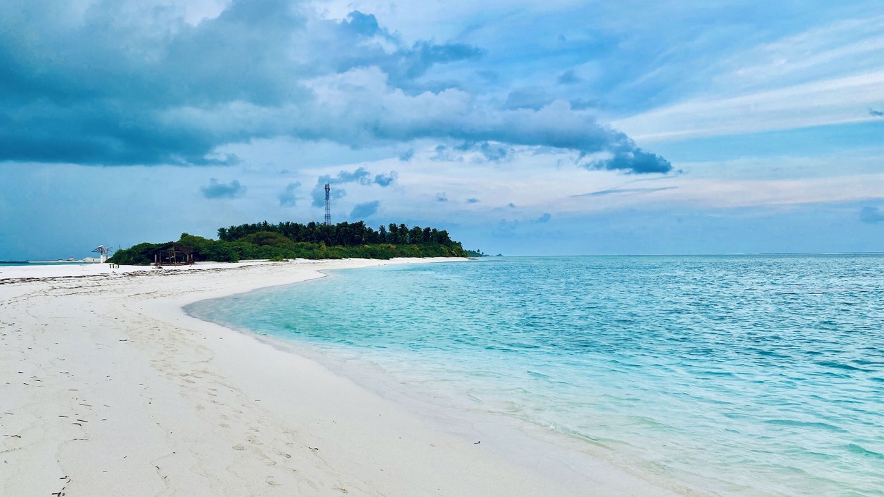Photo of Others in Fenfushi