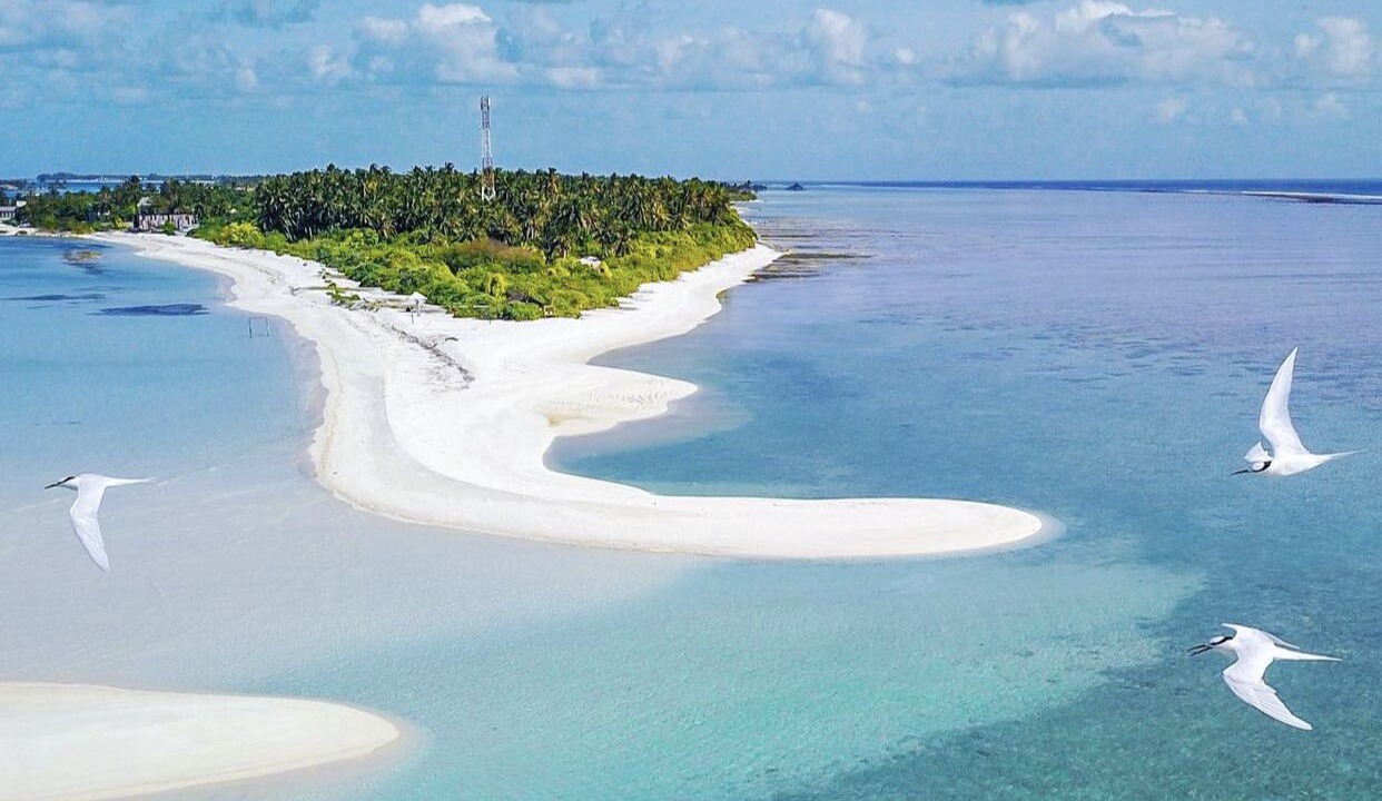 Photo of Others in Fenfushi