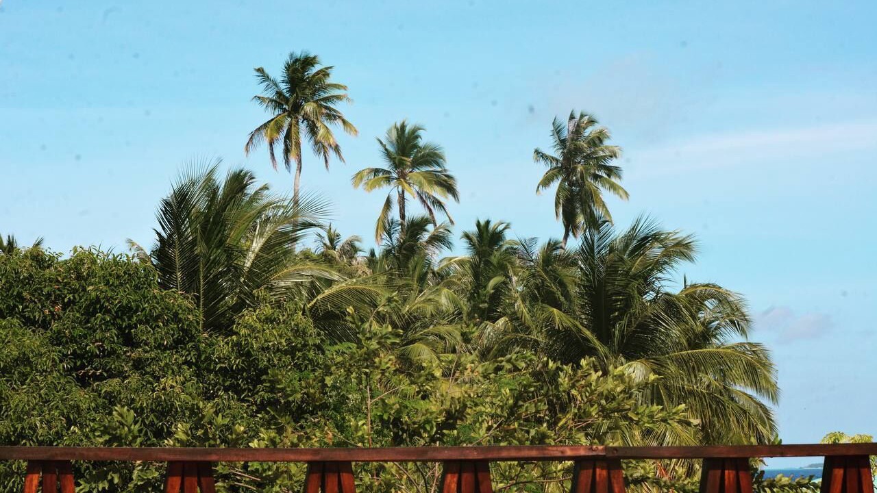 Photo of Patio Balcony in Mandhoo