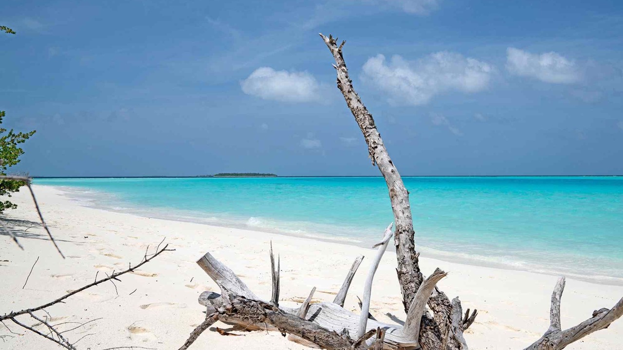 Photo of Others in Manadhoo