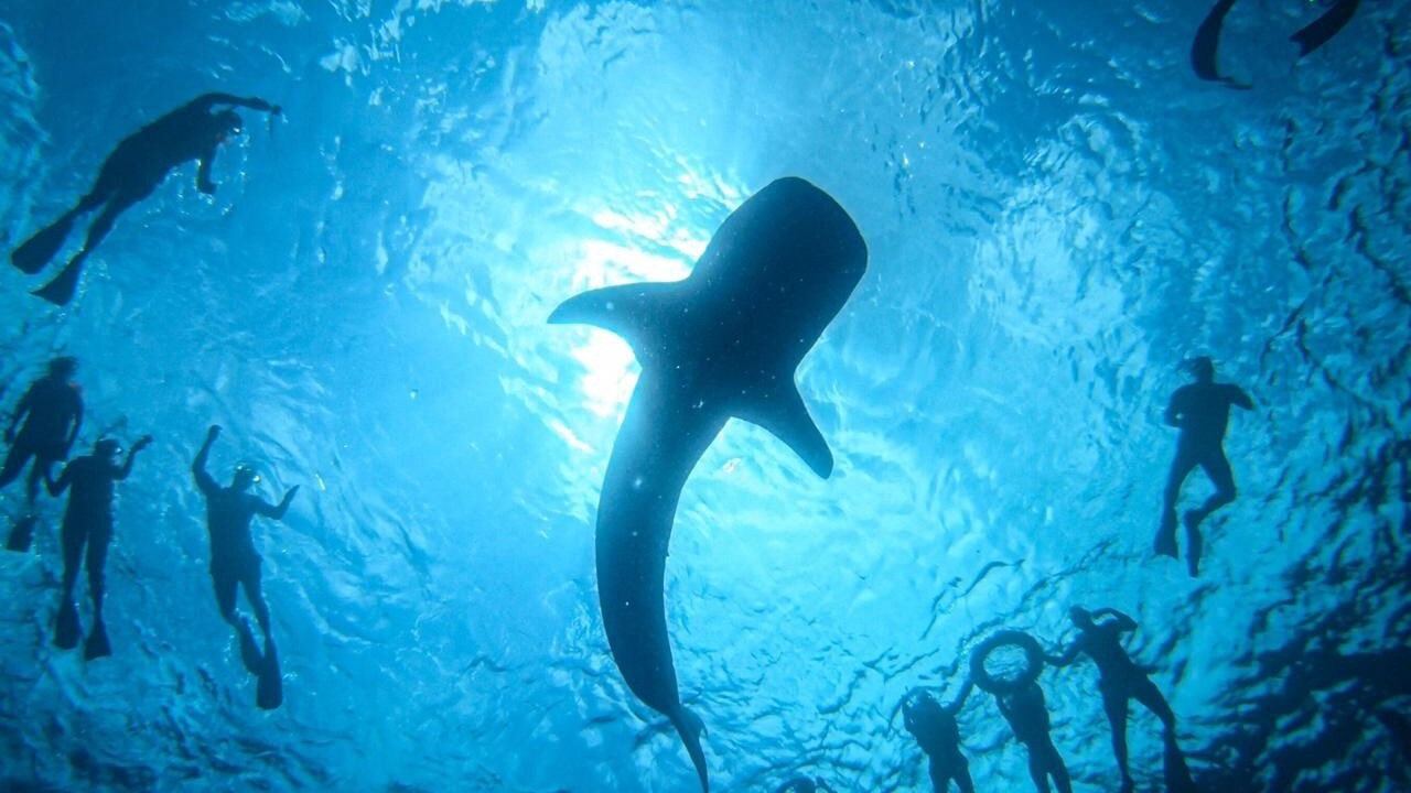 Photo of Others in Mahibadhoo