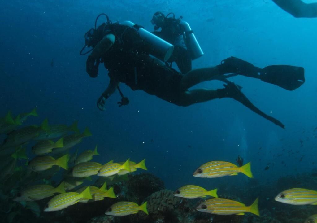 Photo of Others in Hulhumale