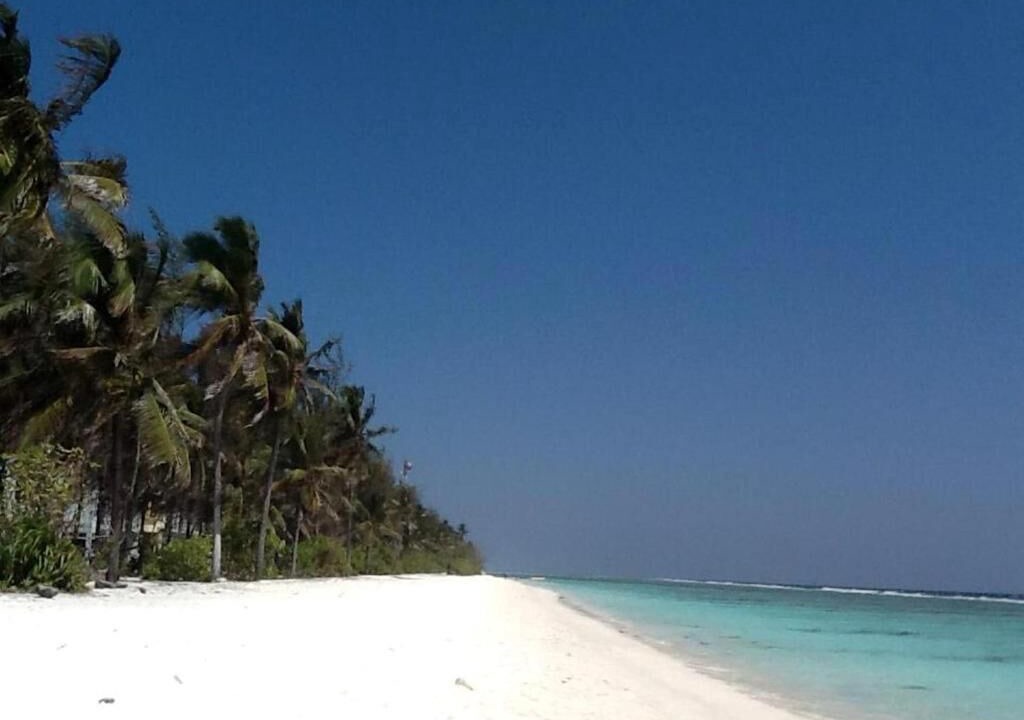 Photo of Others in Hulhumale