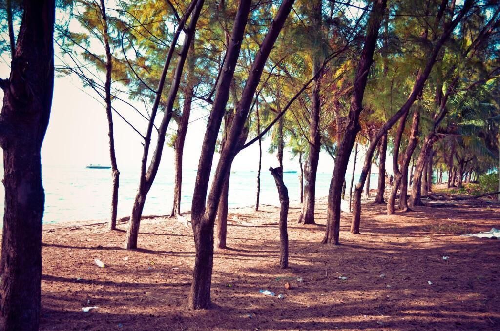 Photo of Others in Hulhumale