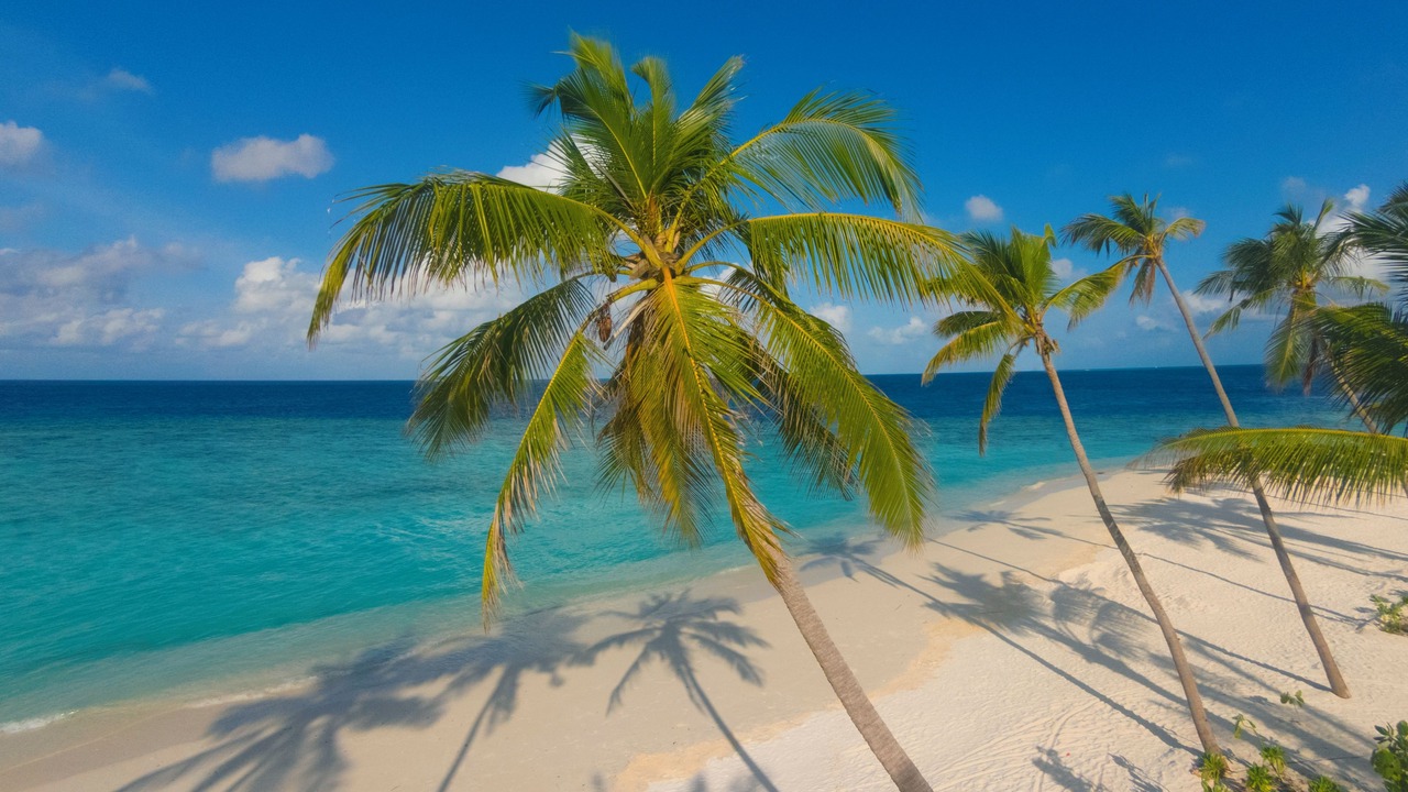 Photo of Others in Milaidhoo Island
