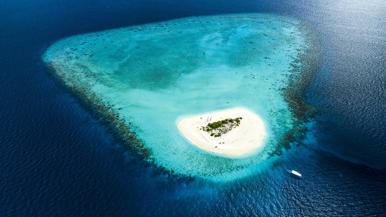 Photo of Others in Kooddoo