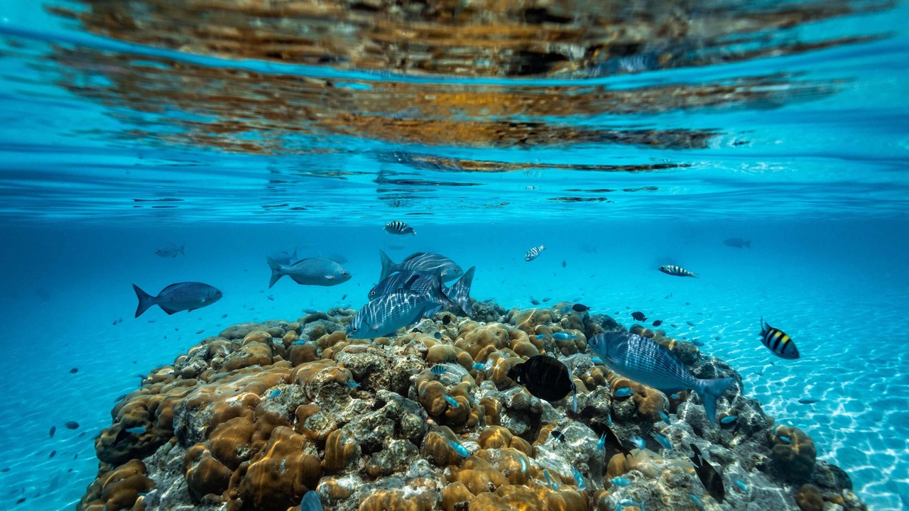 Photo of Outdoor in Dhigufaruvinagan'du
