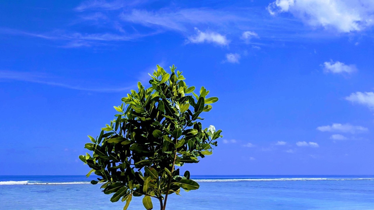 Photo of Others in Hulhumale